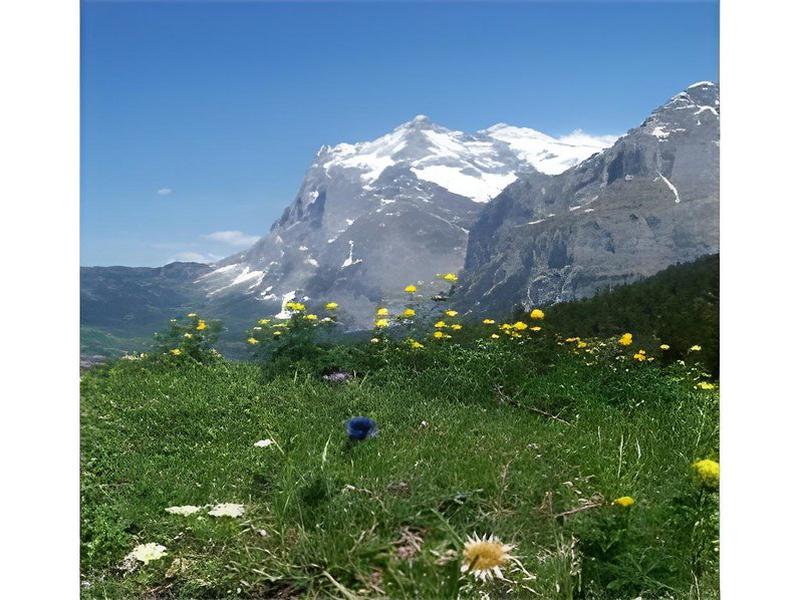 ADC3DAA449B4C6D11ED48C4931C78CE7