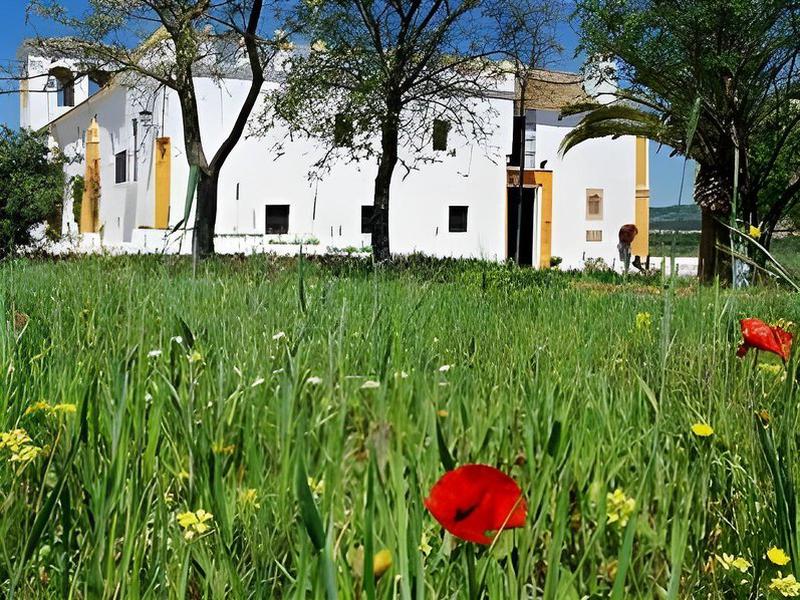 4B6BFD11B1443045B674C0CD2BFB37EC