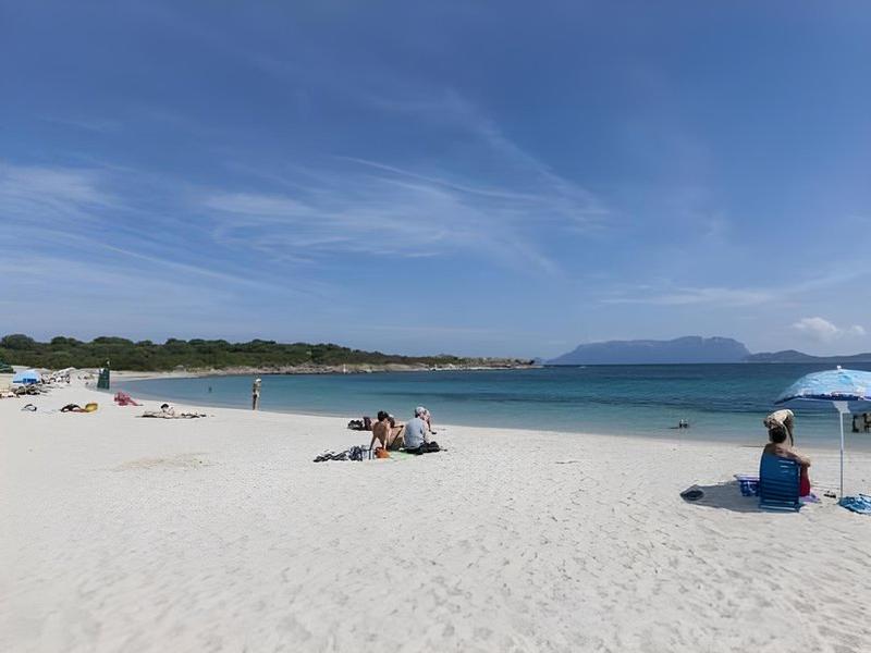 7C4E27585E091BCA5CF6A4A04FDC9BE5