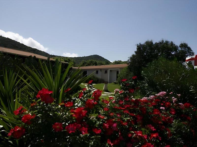 84C6C8053D2AE48322CE33AE09AC58D0