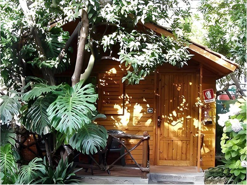 A87B0E55535C1132E7E7E0F5EA08D2BE