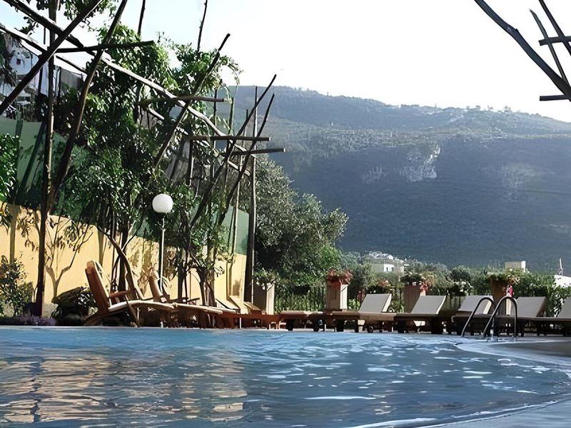 67EEFC1E32C03252B88DC92DD2E48B62