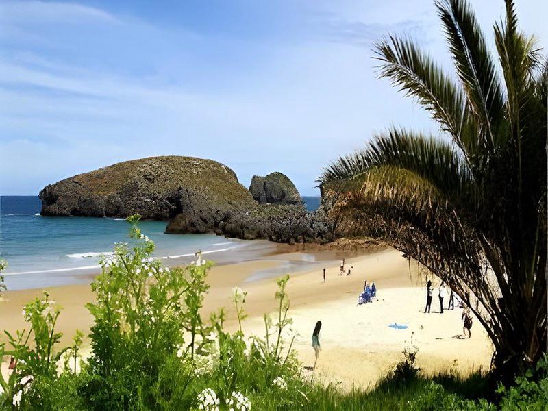 D6A64129AEB90E0F2E1314185BC11A0B