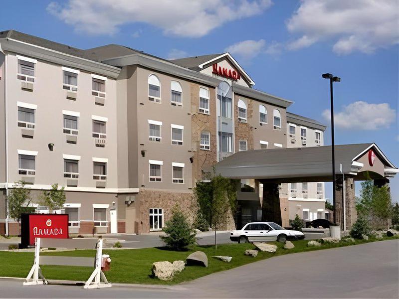 4B53CE89B2F1CAA0FD5E2EB2CC338E03