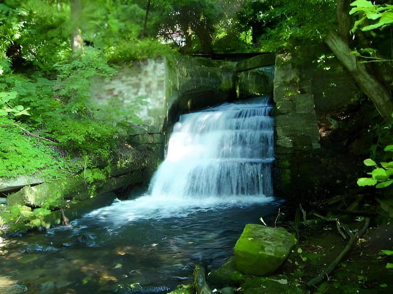 EC36F7DCFD7E447BC16EB8D32D74855F