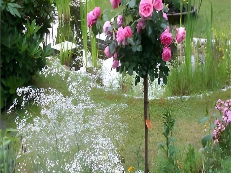 793E3259796A0B891BDDAAE1917D1E3B