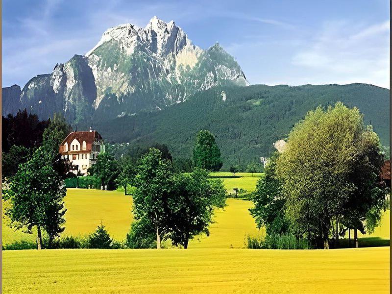 8629CB9D566E5238DB9B97787C2E8E9E