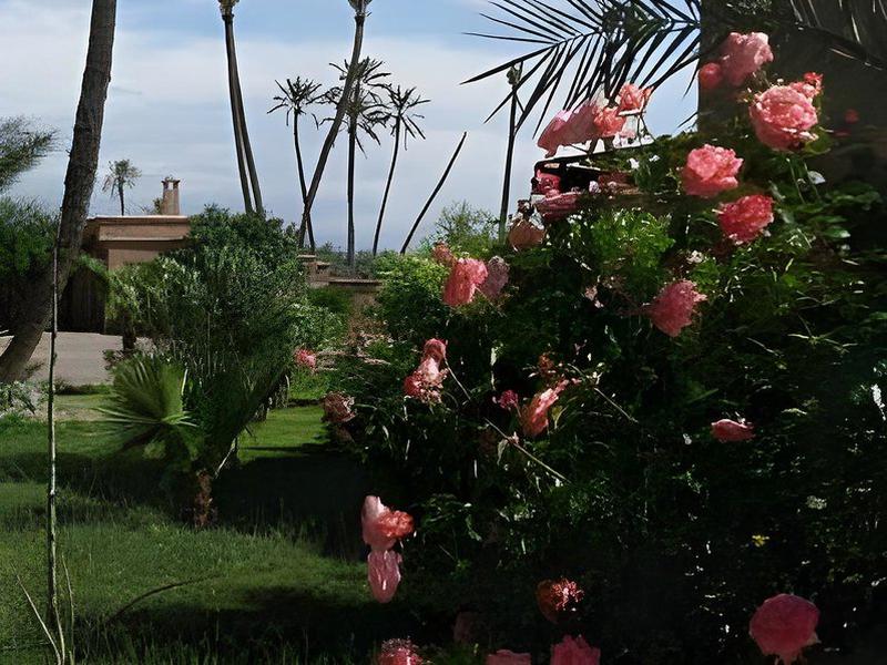 CC4A9AFE09CCC6C16A4CFF6A01474F9C