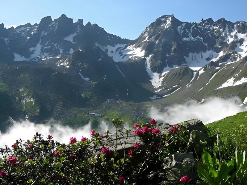 F3D12F9854D59066384C74A47F65D1E3