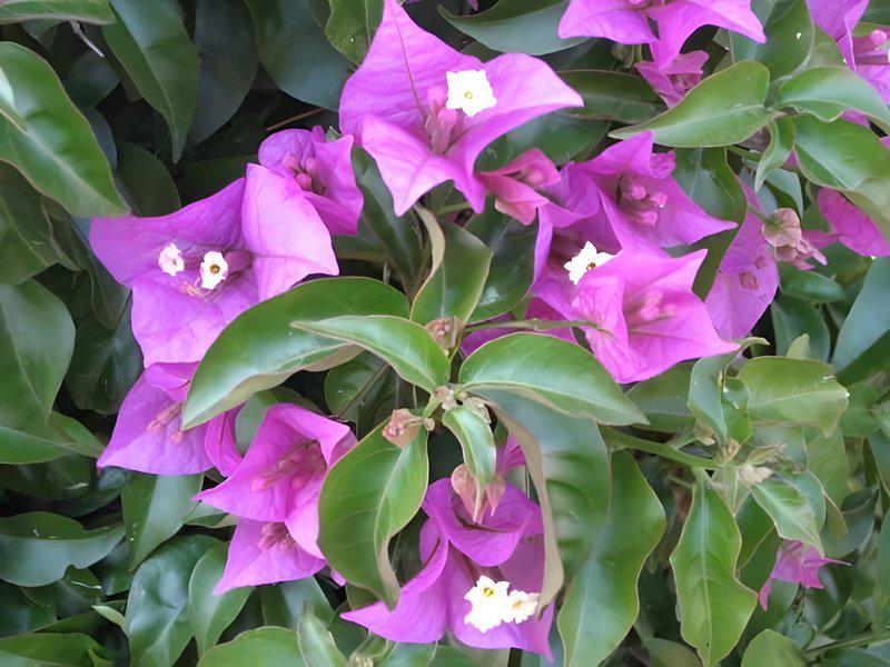 4000D61070BC0C73CCA92D64C781DB95