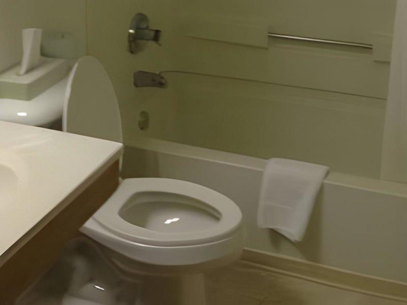 EA8DE3FDF34B450D11315870D88336E9