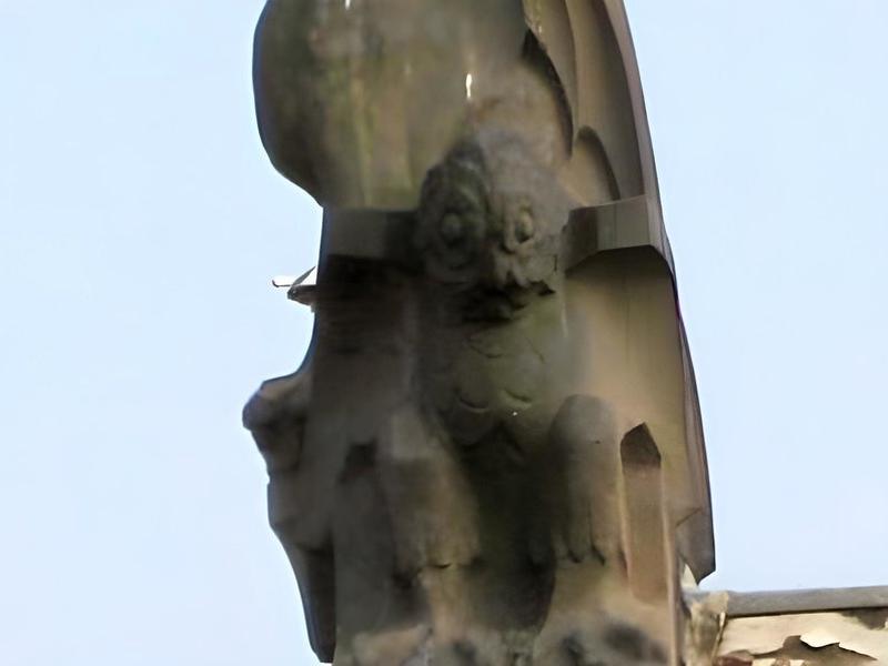 1FB399988906CD12E6ABF8DEFFA616AA