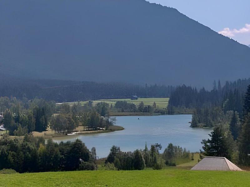 FEA2F34F2E496F80ACE64B1E5F7BB356