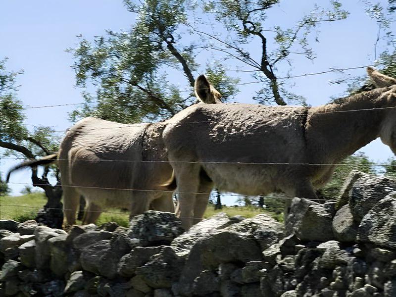 91AA0754CEFEFF3F42B818CB214AD74B