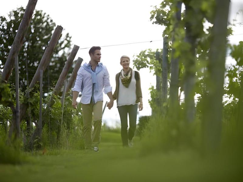 FEF2955D7089B13669C5FDDC1A5C2DDD