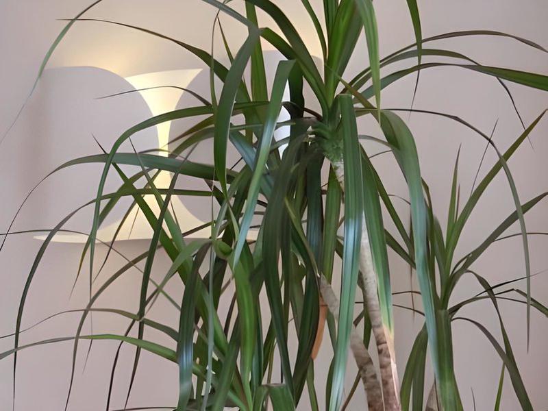 BD252570EEDF4080EA82370679A5B495