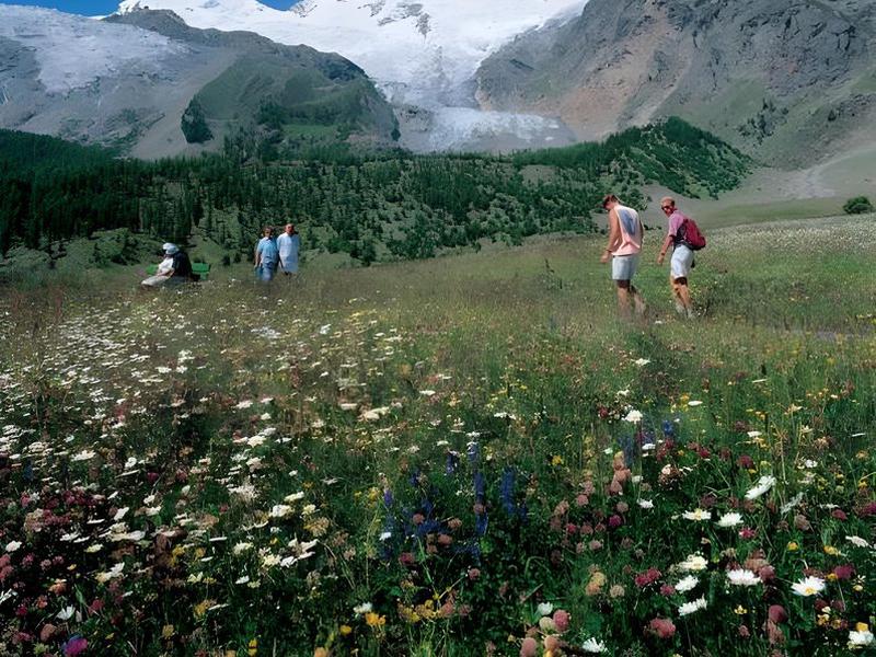 9CA7D67E21F716D3E86301654BAB8724