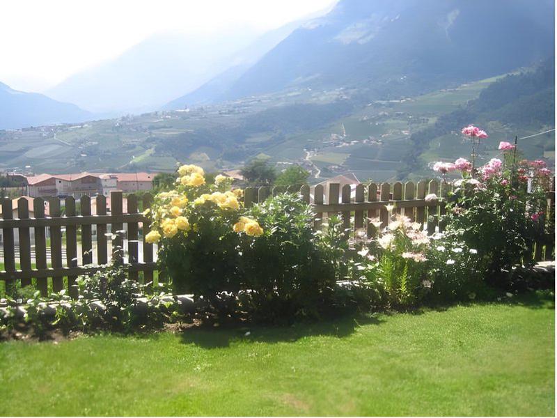 5F16899CF474C421E1298AB1195FA2B2