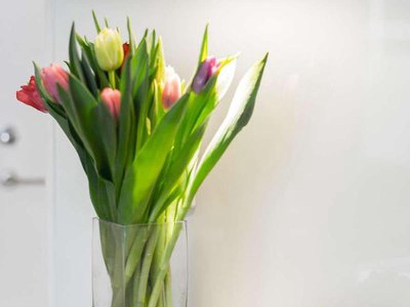 69B6046EAA332C21A9C6E8A90A192576