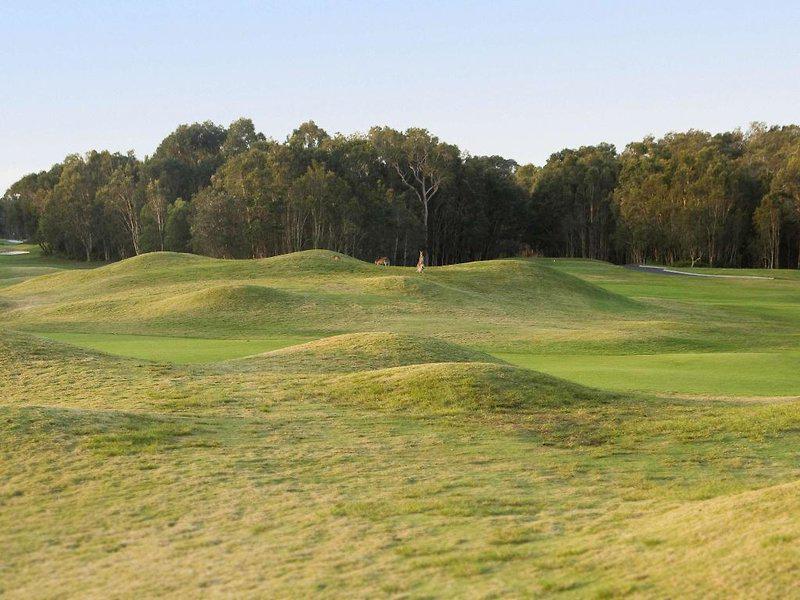 1602C8BEF69101744C33042B1FA51EDF