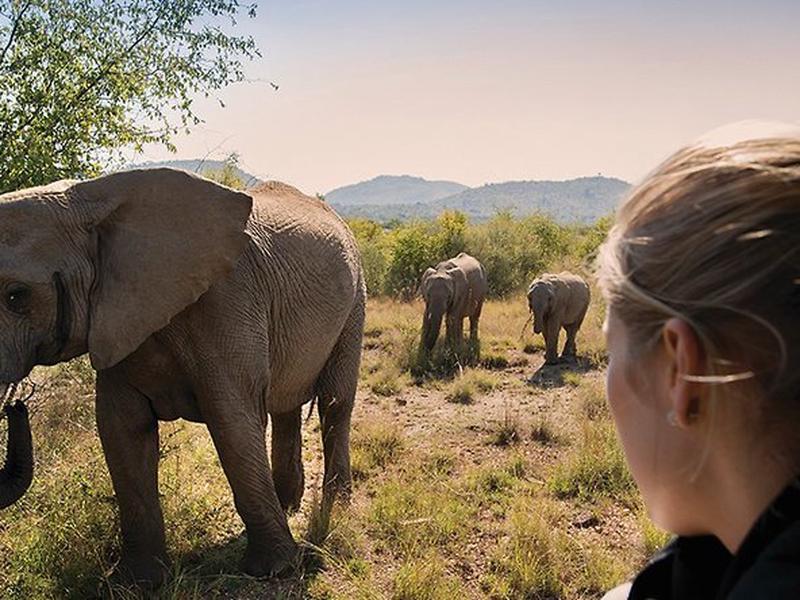 5E6DB016C40975721209DA9C3C194798