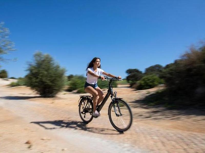 3CD091ACF46E0C681C5BDC600DFA3691