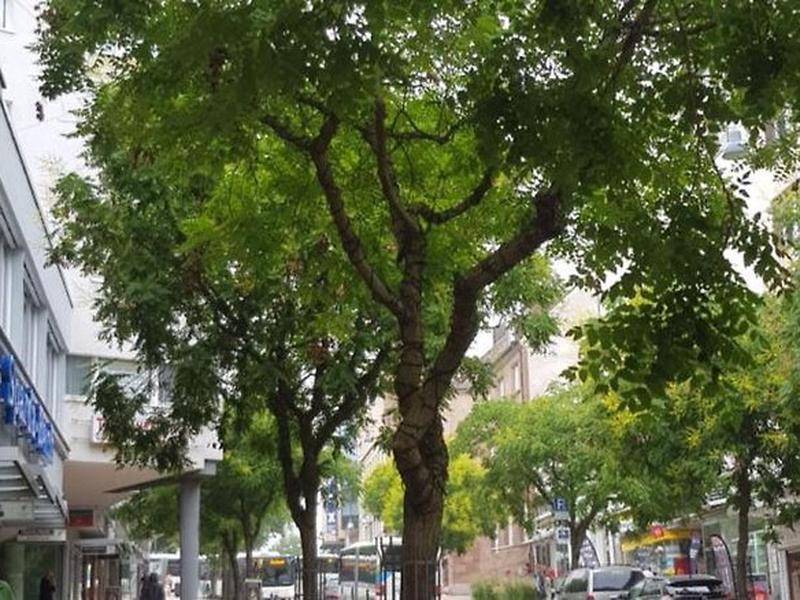 4BF28B4FD2A81A1CD076DCDBB1B25C41