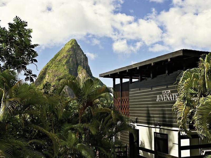 087AA8432AD9F3D9358C3F61D9B54E80