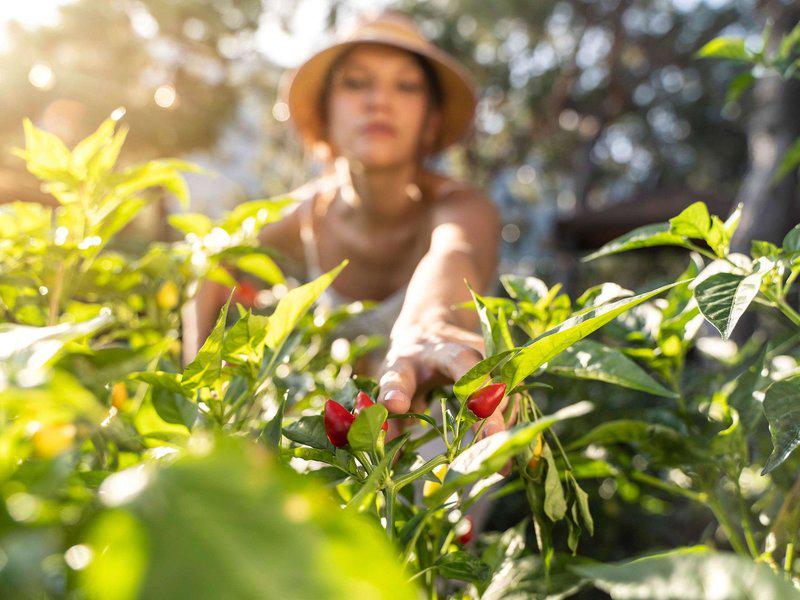 E1879B89A1326280154929254413CFF3