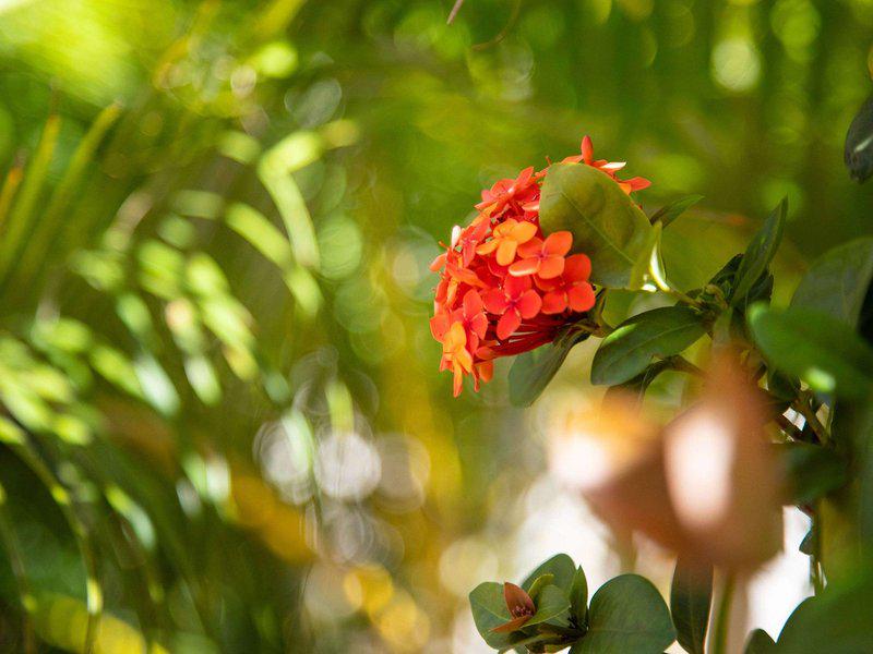 DB75E556E9700B5950ECE16A9C0339B6