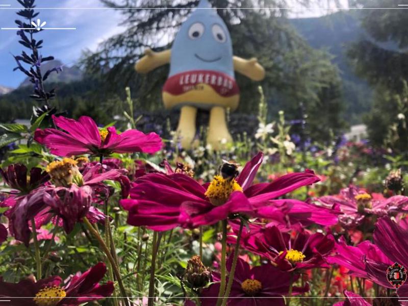 9C0FC759C9416EBDFA66750887857170