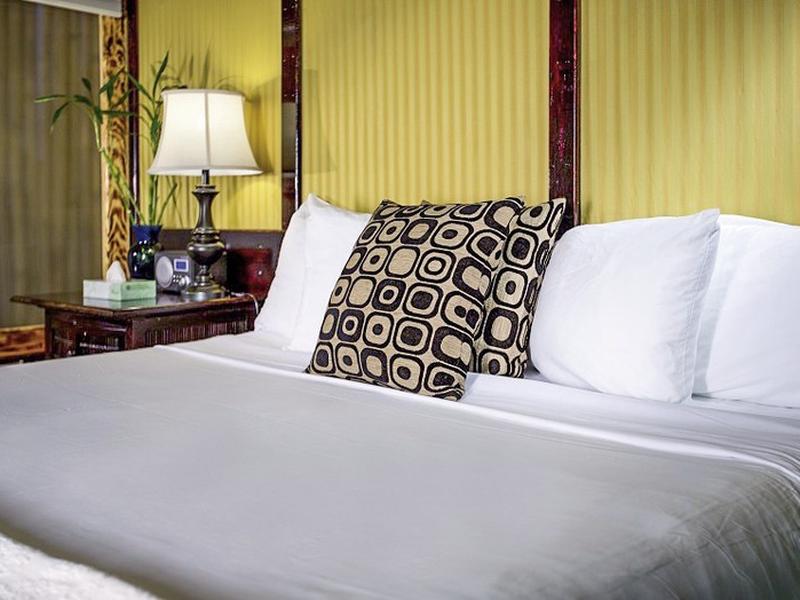 848880DCC4A24D7A2E99927309B0B5C0