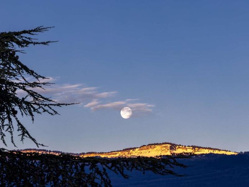 D0CBFCCB662CEBAC8CF29490667FF6CC