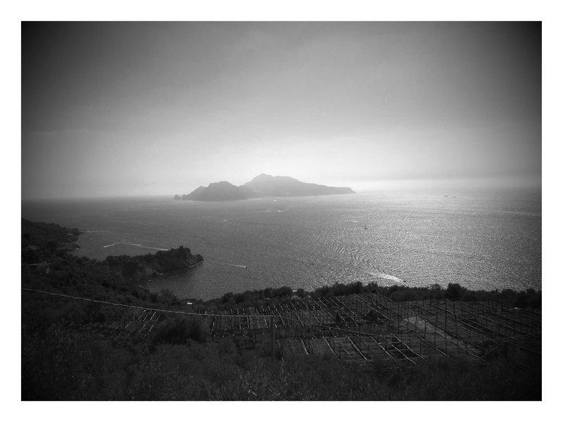 979A7E9816B9F374EF2612F01C0FDC51