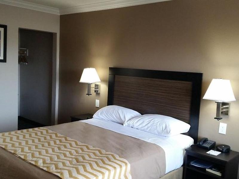 BBC5A8C8B0AF1D323162A555B7282BDD