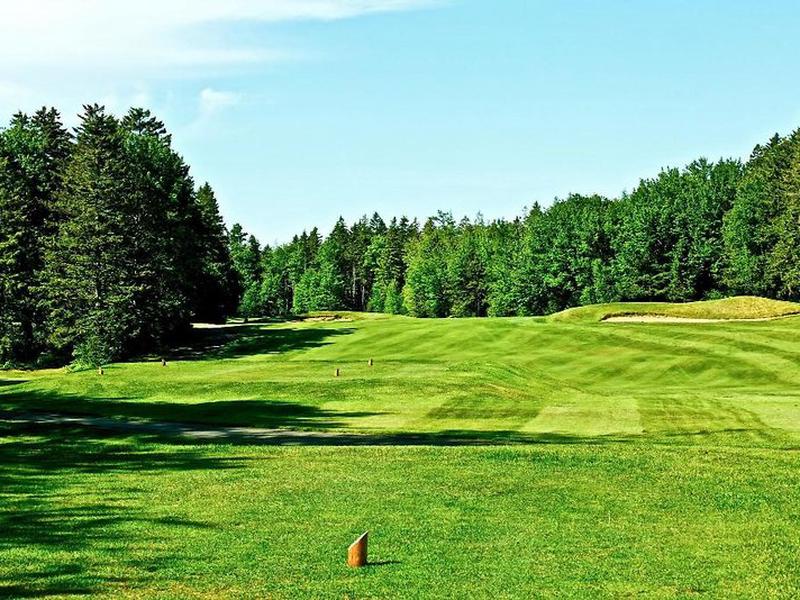 9EC9EC78BF72517B5DC8F7826DE8D834