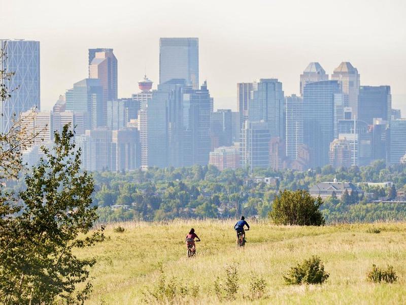 D2038ACFDBB08D522DF60CBF6626CF54