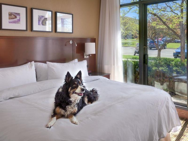 47E43B756474791E3801A0060213BCD2