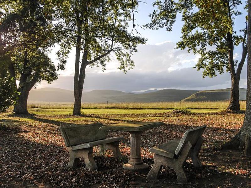 6807675B99F1B96DDCBBE96D5CAF640B