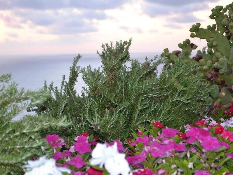 2EBB8497C251050C4E21D7599D182230