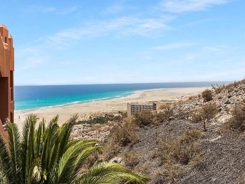 83EF0E12D1235B2B81375C713E3ACCBB