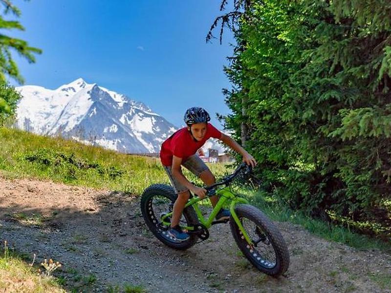 629DA6AB77B8EFB3C09A3496B85ACFE5