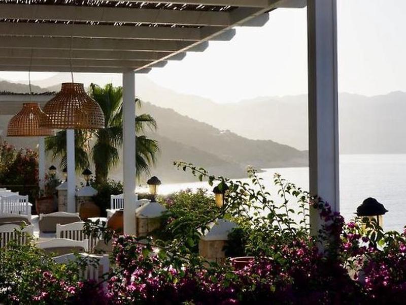 D84DD0C34643C8AB73B2A973F8CEAADD