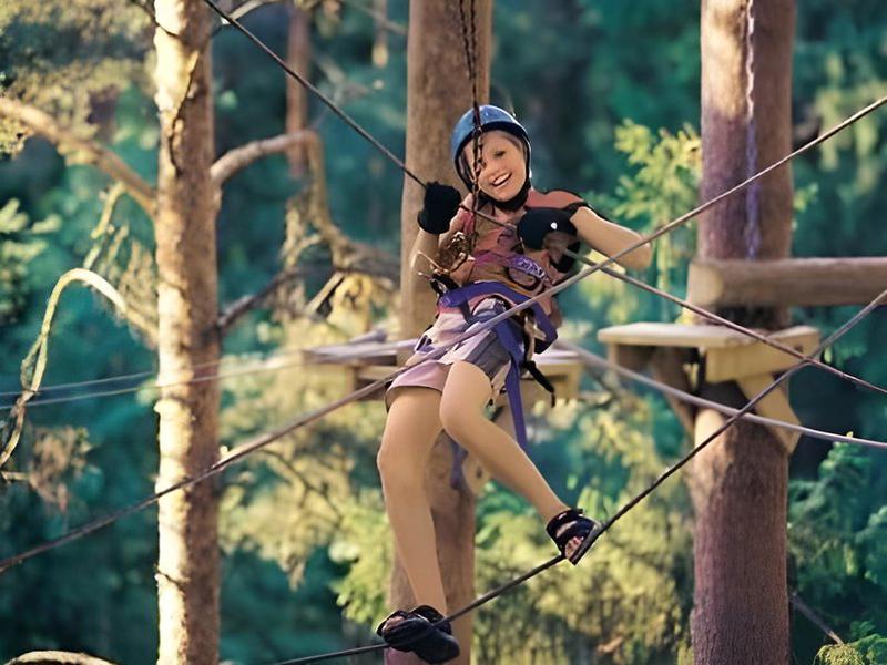 EEC301FB3F0144B3B35B63BAA0281AA9