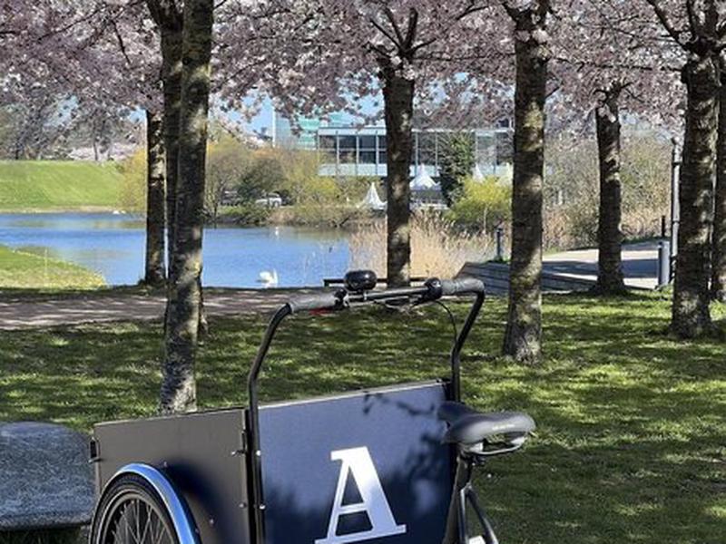 BB5DE51D551A8D853AFBA2ED4BDED8CF