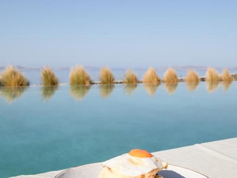 B92BA5F9D501F289B30CC6F819D9E9D7