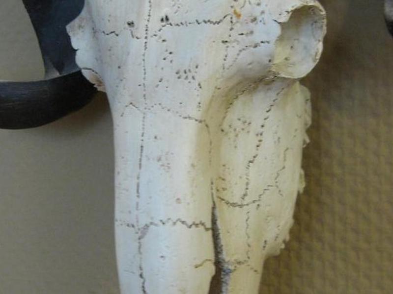 8CDA31FC75CC92B30B769337C4E00AC6