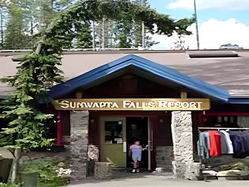 2203D66E272E8CD4EE85381BFA90A079