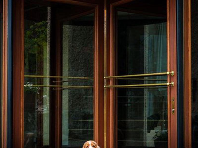 7E7F5891C6876492947B96C679AADD48