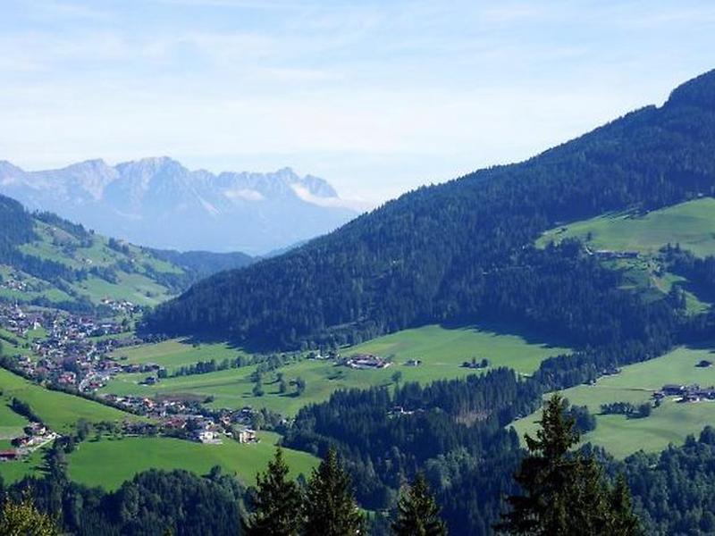 3EAA06E362A4AE08F5035037221B8777